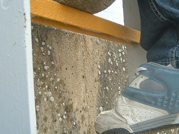 Swiss Solutions Rung grip ladder grip