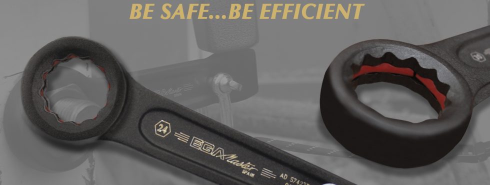 Ega Master Safety Tools Repair Management Nederland B.V.